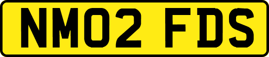 NM02FDS