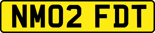 NM02FDT