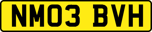 NM03BVH