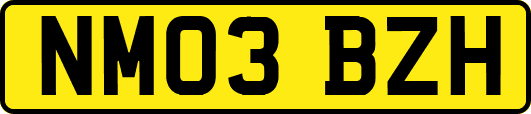 NM03BZH