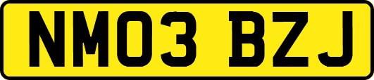 NM03BZJ
