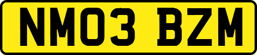 NM03BZM