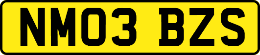 NM03BZS