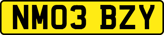NM03BZY