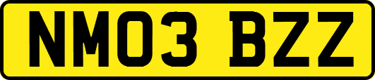 NM03BZZ