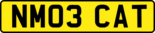 NM03CAT