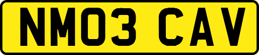NM03CAV