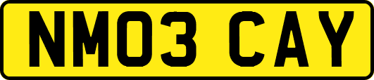 NM03CAY