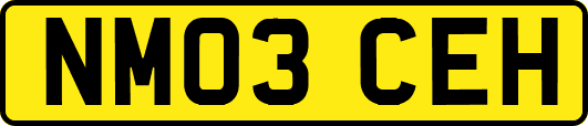 NM03CEH