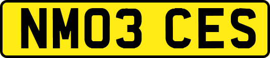 NM03CES