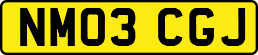 NM03CGJ