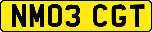 NM03CGT