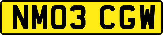 NM03CGW