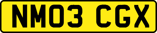 NM03CGX