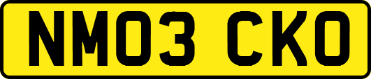 NM03CKO