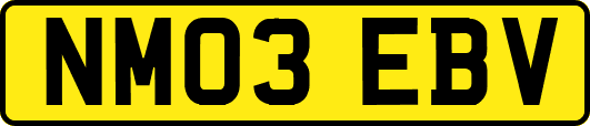 NM03EBV