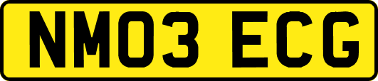 NM03ECG