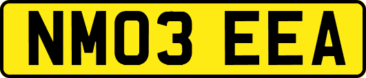 NM03EEA