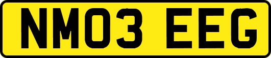 NM03EEG