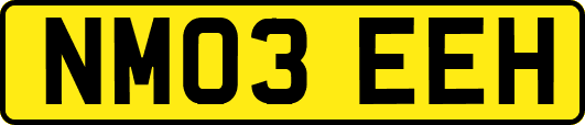 NM03EEH