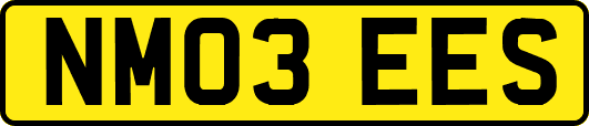 NM03EES