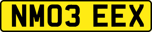 NM03EEX