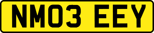 NM03EEY