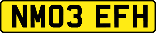 NM03EFH