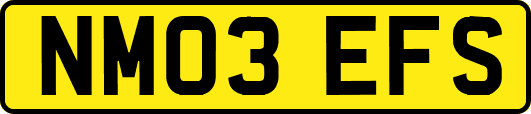 NM03EFS
