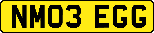 NM03EGG