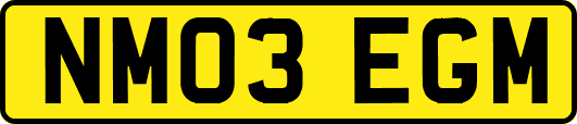 NM03EGM