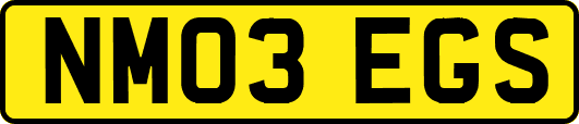 NM03EGS