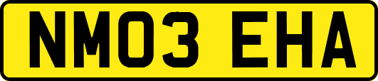 NM03EHA