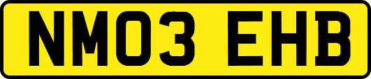 NM03EHB