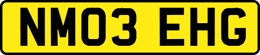 NM03EHG