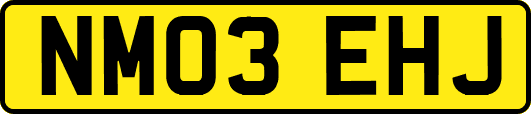 NM03EHJ