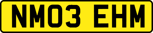 NM03EHM