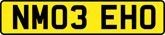 NM03EHO