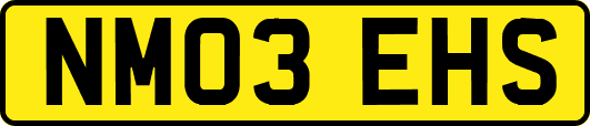 NM03EHS