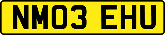 NM03EHU