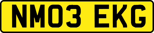 NM03EKG