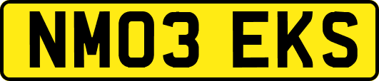 NM03EKS
