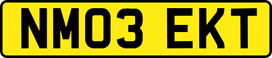 NM03EKT