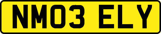 NM03ELY