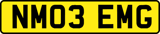 NM03EMG