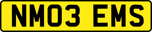 NM03EMS