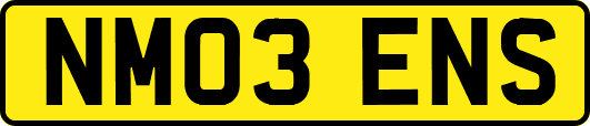 NM03ENS