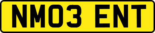 NM03ENT