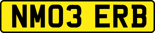 NM03ERB