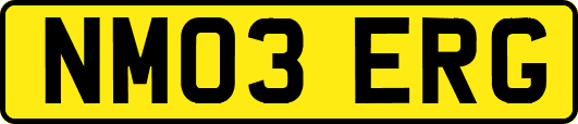 NM03ERG